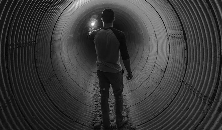 Building with trees 3